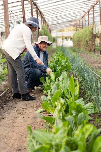 eco-friendly-couple-checking-green-plants_23-2147562158