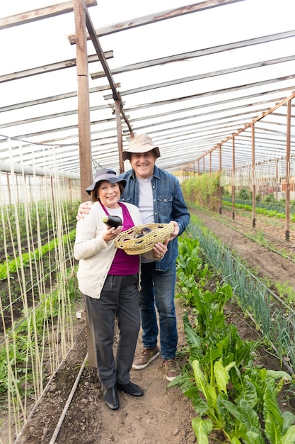 smiling-couple-holding-basket-with-eggplants_23-2147562163